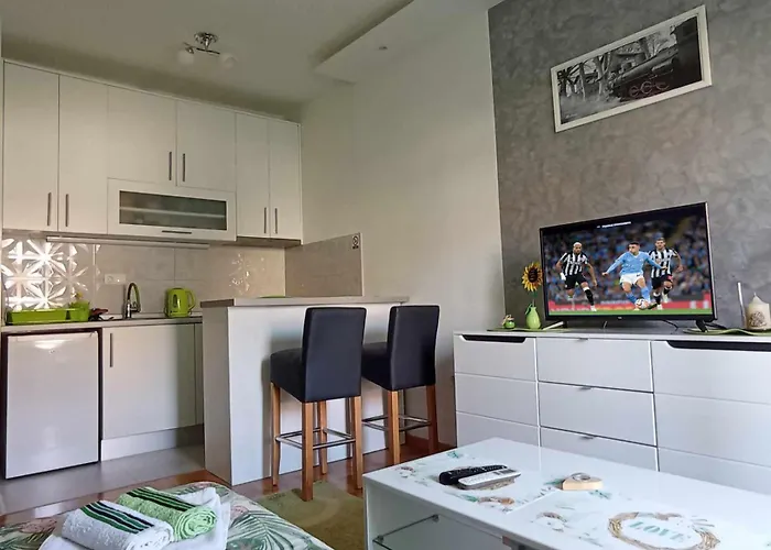 Apartment Leo 11