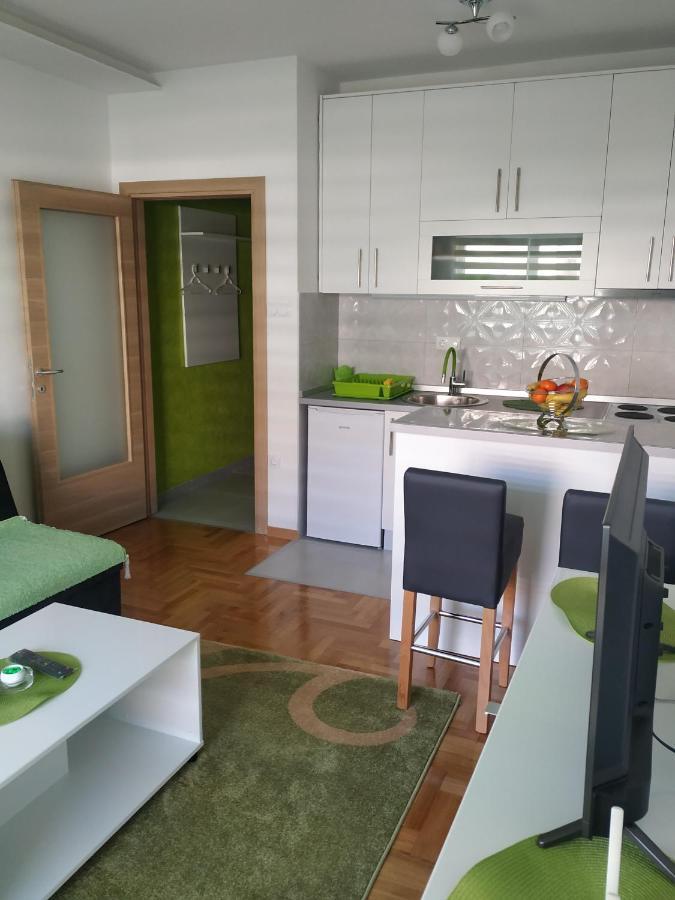 Leo 11 Apartment