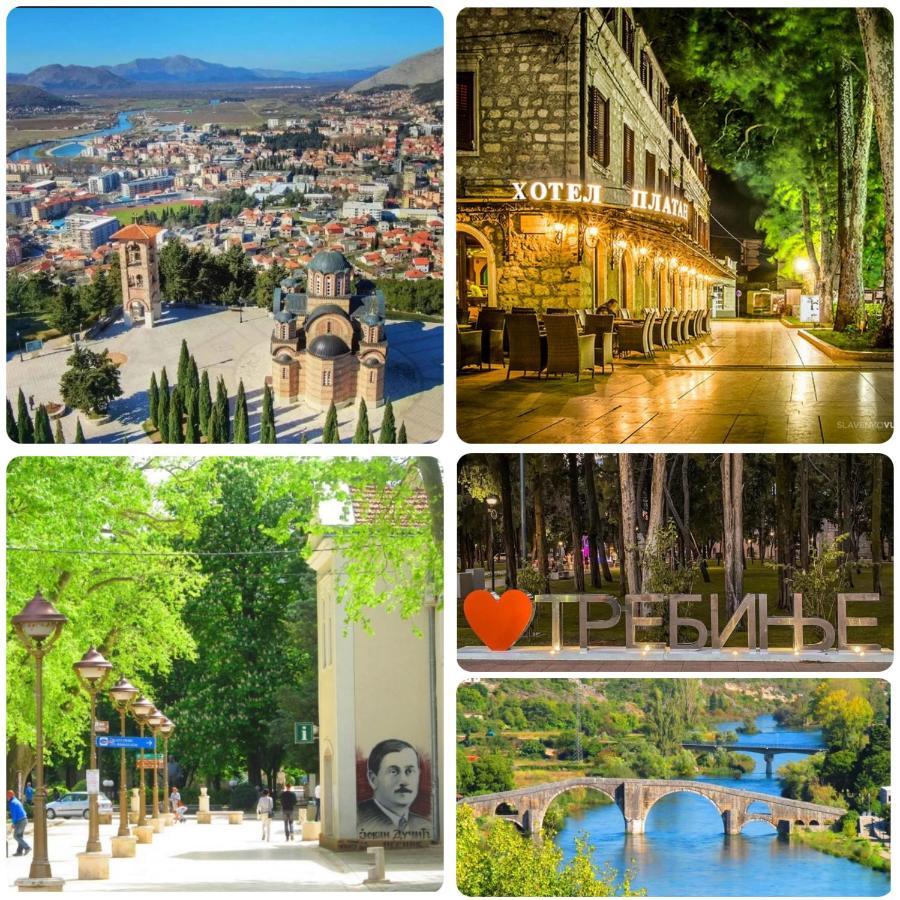 Leo 11 * Trebinje